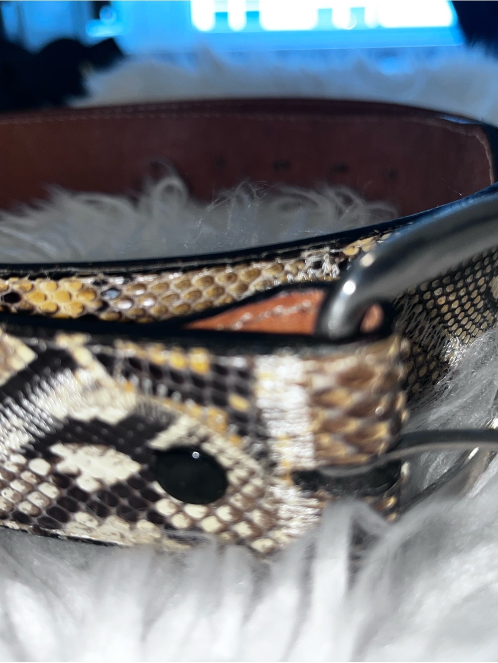 Snake Print Leather Waist Belt - Neutral Tones